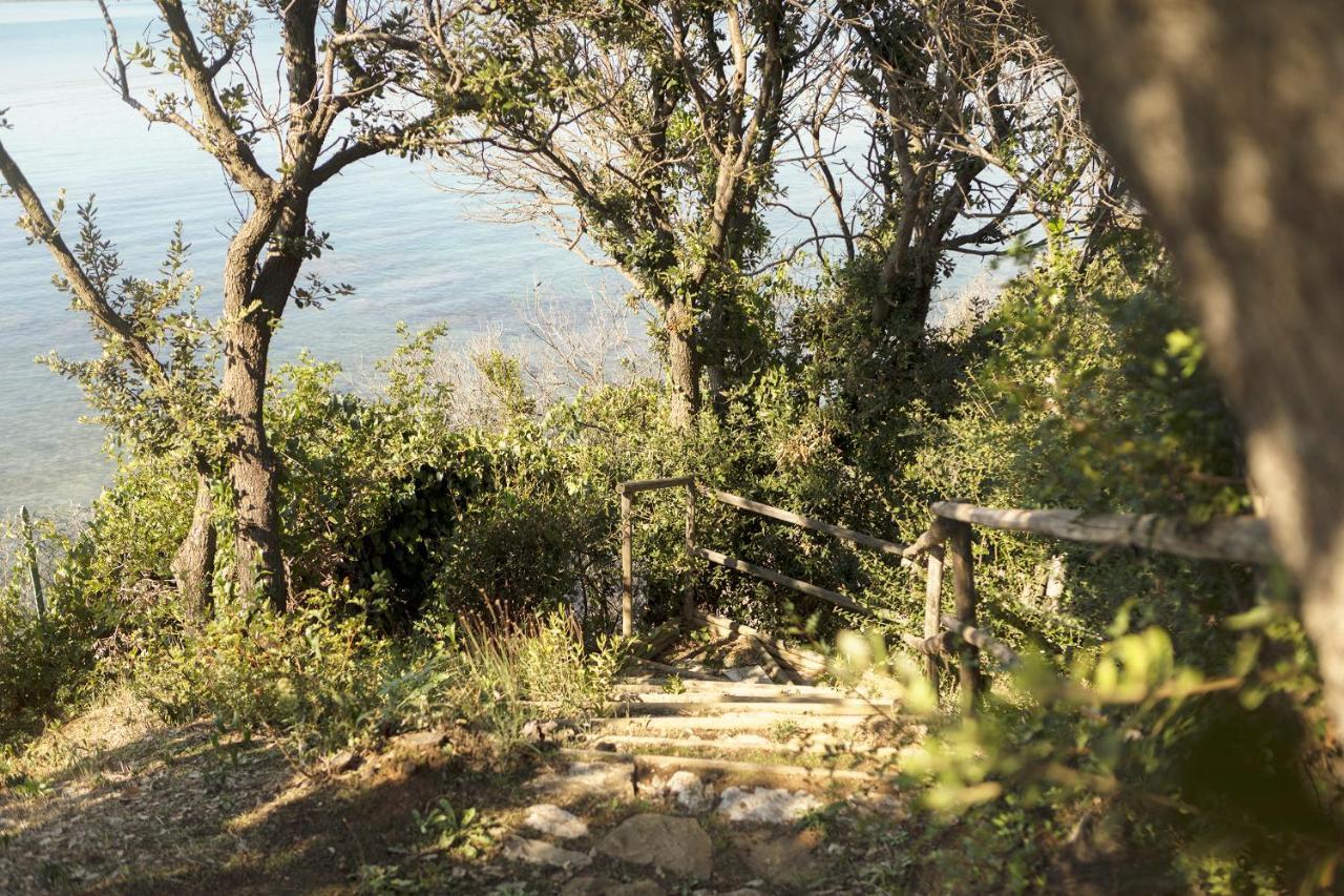 Villa Talamo フォンテブランダ エクステリア 写真